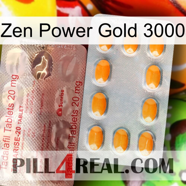 Zen Power Gold 3000 new13